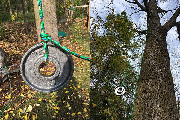 rope over tree limb