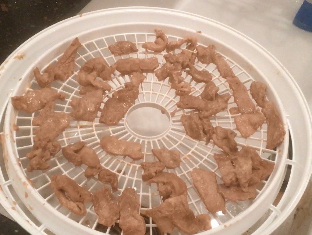 porkjerky Amateur DIY